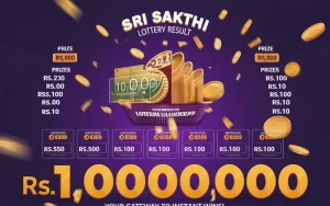 Lottery Numbers Today